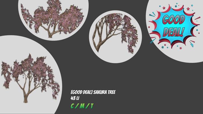 [GOOD DEAL] Sakura Tree. BOXED/ADD&TOUCH.
