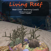 Inochi Reef - Mesh Branching Coral B