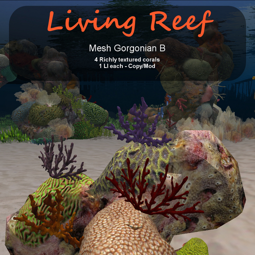Inochi Reef : Mesh Gorgonian B