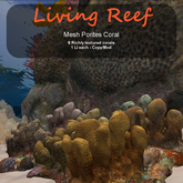 Inochi Reef - Mesh Porites Coral