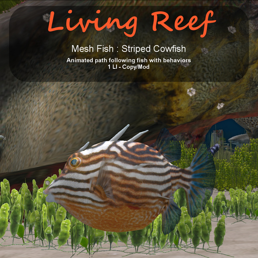Inochi Reef : Mesh Fish - Striped Cowfish