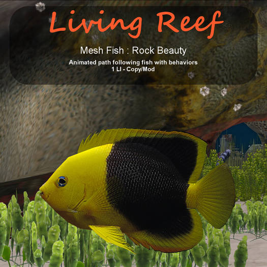 Inochi Reef : Mesh Fish - Rock Beauty