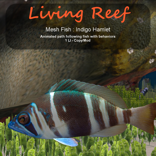 Inochi Reef : Mesh Fish - Indigo Hamlet