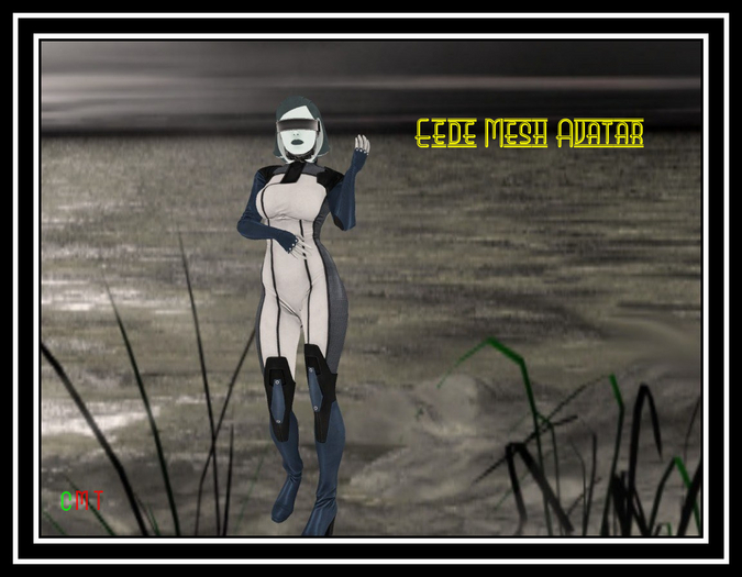 ~Eede Mesh Avatar~