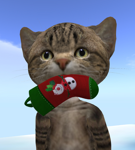 #CHRISTMAS SOCK IN MOUTH for Dinkie Cat (add)