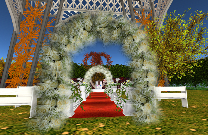 ~FT~ wedding rose Gate mesh