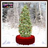 Christmas - Time to Recycle - Thuja Tree & Tire Planter