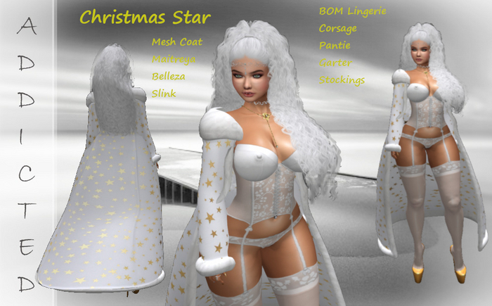 Addicted Christmas Star Coat and Lingerie + fireflys