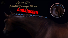 Cheval D'or / TeeglePet Andalusian / Plaited Dressage Mane. [HUD]