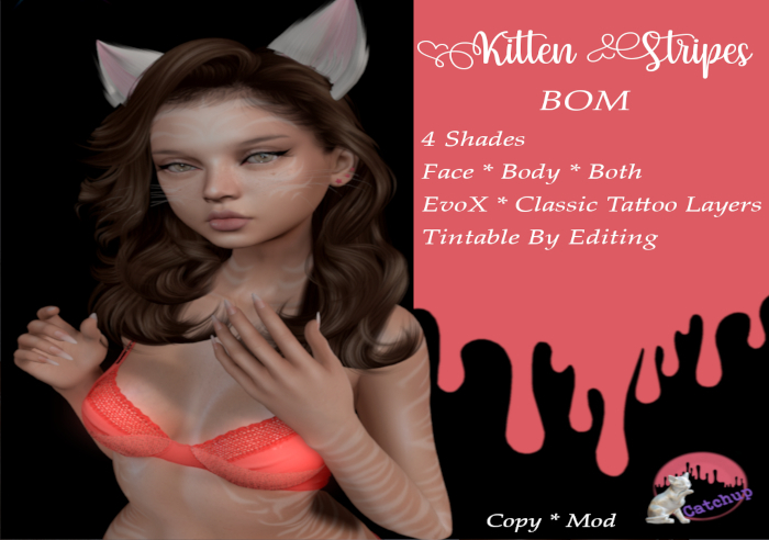 Catchup - Kitten Stripes BOM*EvoX