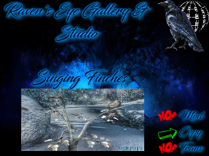 [R.E.G] Singing Finches (box)