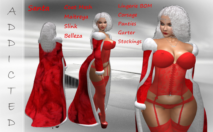 Addicted Mesh Coat Santa and BOM Lingerie