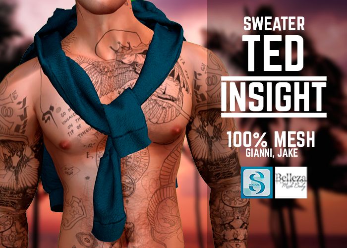 [INSIGHT] Sweater TED BLUE