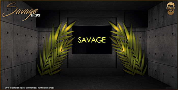 Savage Backdrop - The Bearded Guy