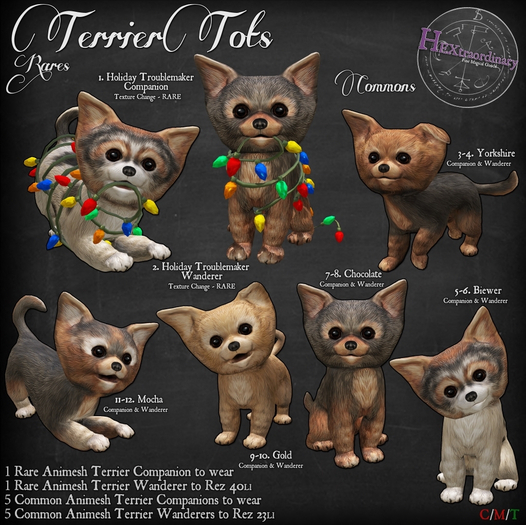 2. HEXtraordinary Holiday Troublemaker - Wanderer - RARE