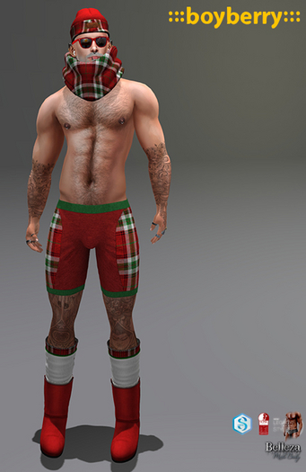 boyberry Alpine Christmas 01