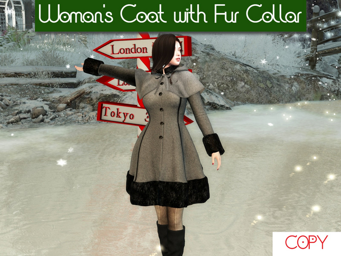 Woman's Coat with Fur Collar