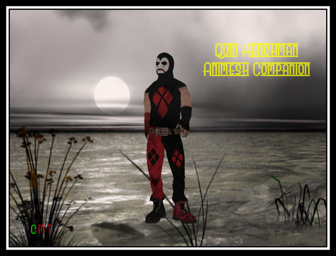 ~Quin Henchman Animesh Companion~