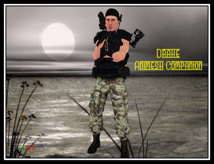 ~Drake Animesh Companion~