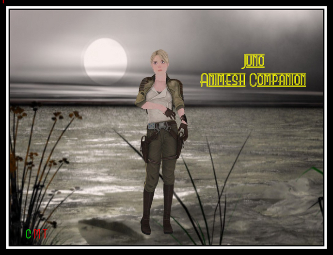~Juno Animesh Companion~