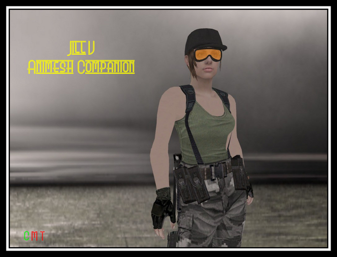 ~Jill V Animesh Companion~