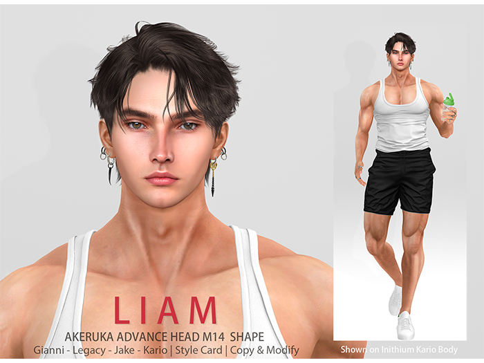 Liam shape (AK M14)
