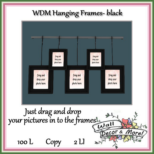 WDM HANGING FRAMES black