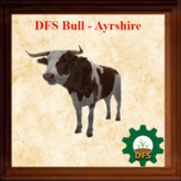 DFS Bull - Ayrshire (0 days)