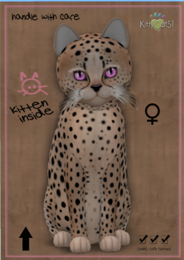 KittyCatS Box - Cheetah! - Au Natural