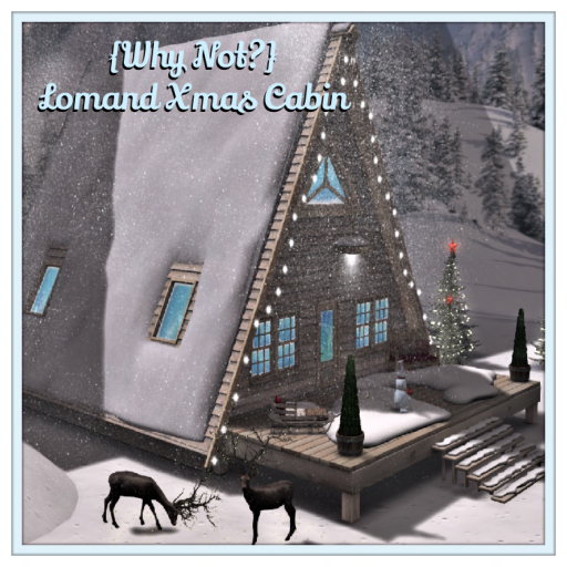 01{Why Not?} Lomand Xmas Cabin RARE