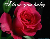 31A - I love you baby - Rose - ANIMATED Greeting Card