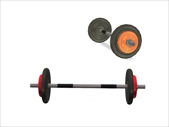 Scorpion's gym Barbell - FULL PERM
