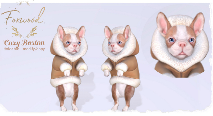 Foxwood - Cozy Boston