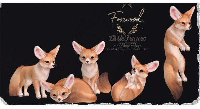 Foxwood - Little Fennec