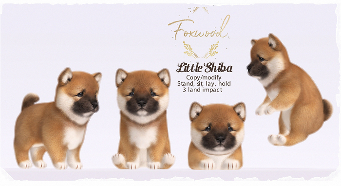 Foxwood - Little Shiba