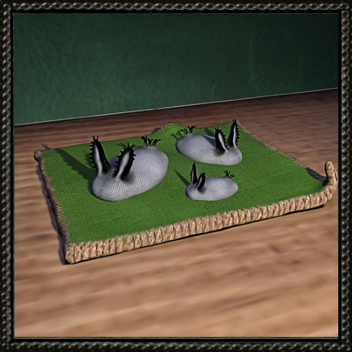Cica's Sea Bunny (box)