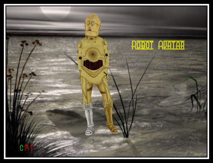 ~Robot Avatar~