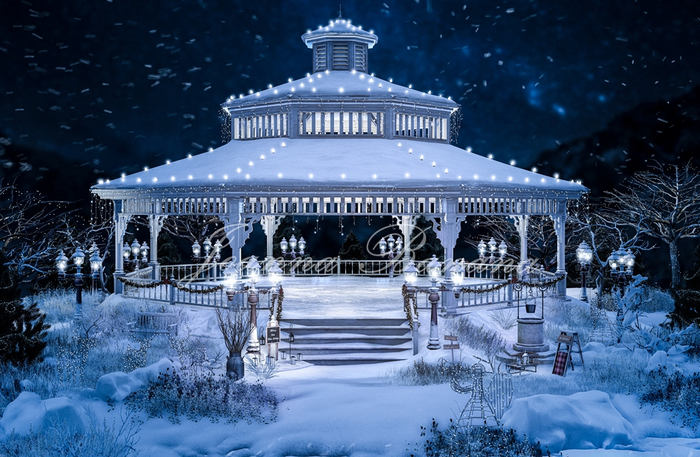 SESE GAZEBO WINTER ICE RINK FATPACK W/RARES