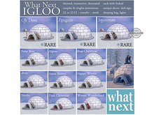 {what next} Nordic Igloo (boxed)