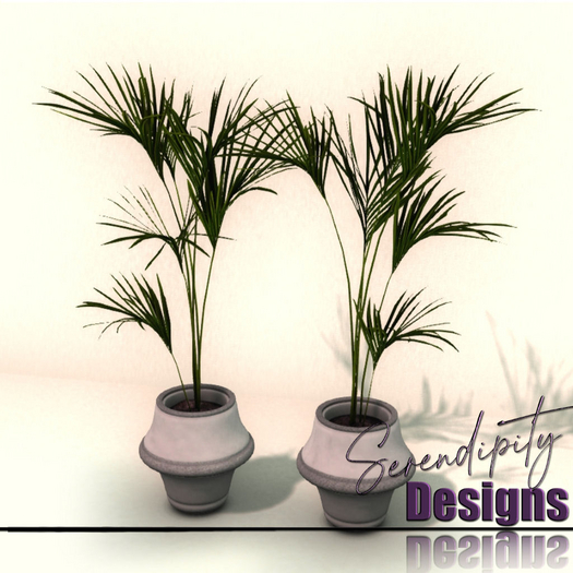 Serendipity Designs - Sandpoint Potted Palms  