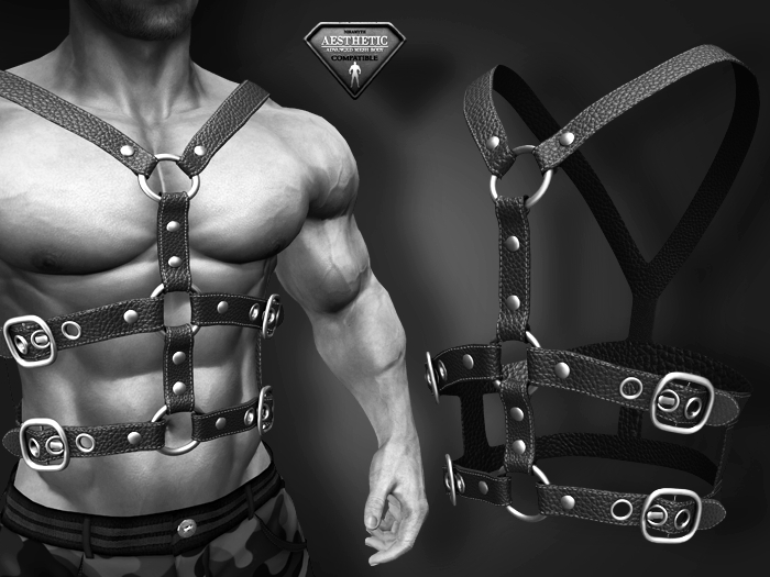 [7/11] Harness Double Black Leather - DEMO