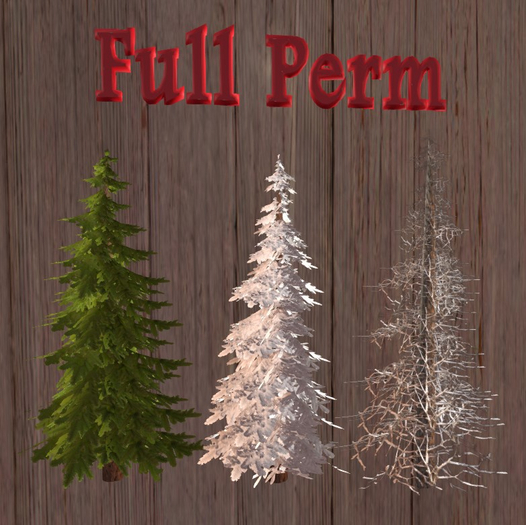 3 Norfolk Pines FULL PERM