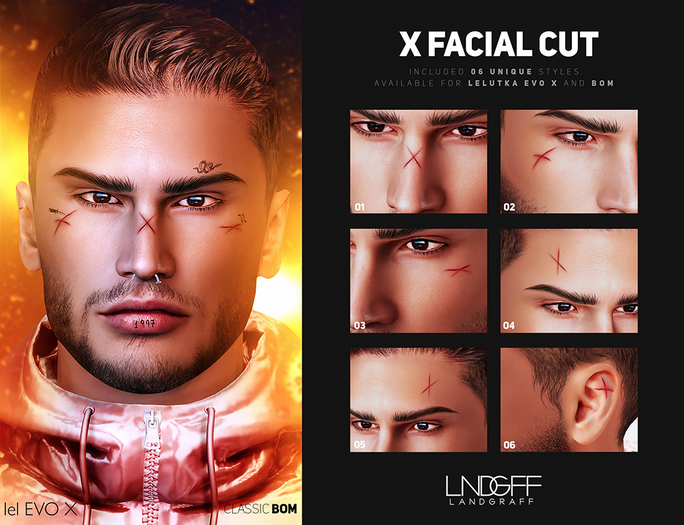 Landgraff - X Facial Cut (GIFT)