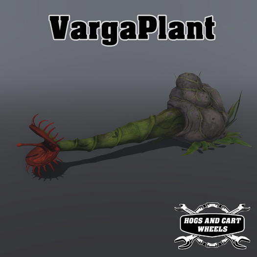 H&C VargaPlant Boxed