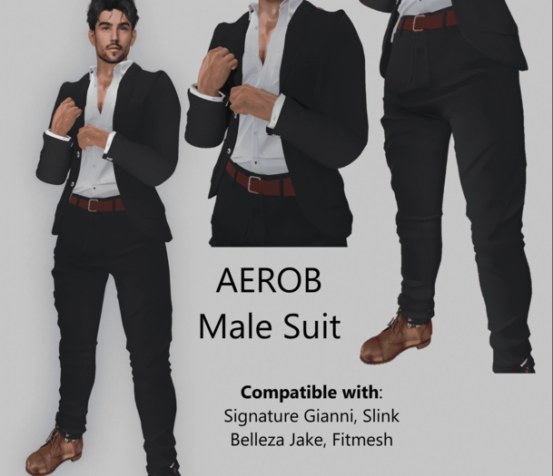 Aerob Male suit