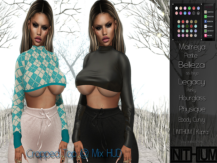[TOXIC BISH] Cropped Top @ Mix HUD
