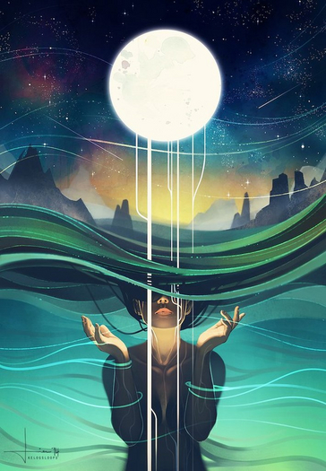 Beautiful illustrations