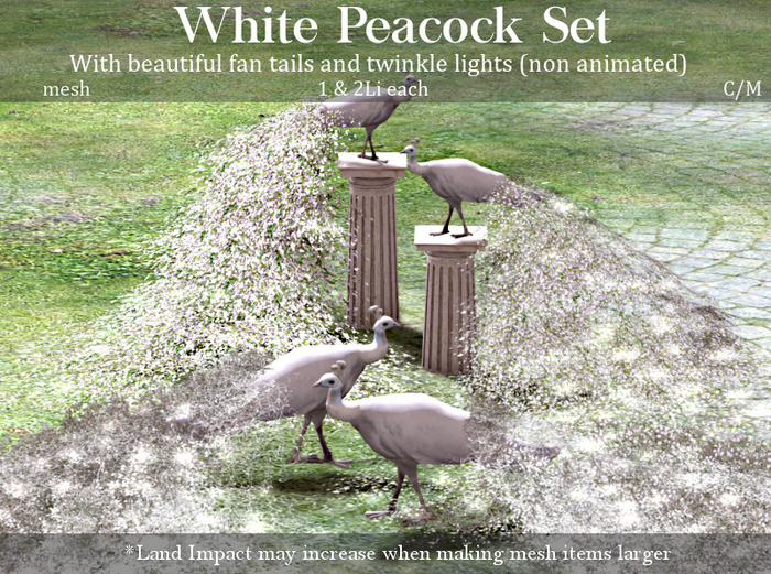 LOVE - WHITE PEACOCK PACK 