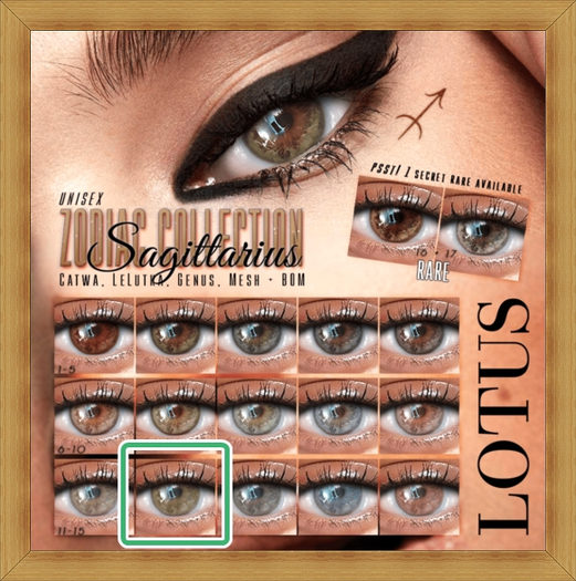 LOTUS. Sagittarius Eyes 12 BOX