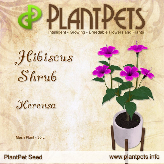 [UPDATED] PlantPet Seed [Hibiscus Shrub *Kerensa*]